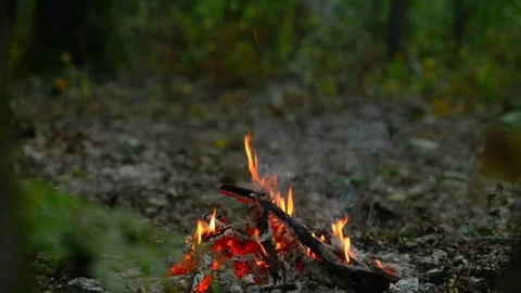 Relaxing Smoldering Campfire Embers Loop Video stock 343343577