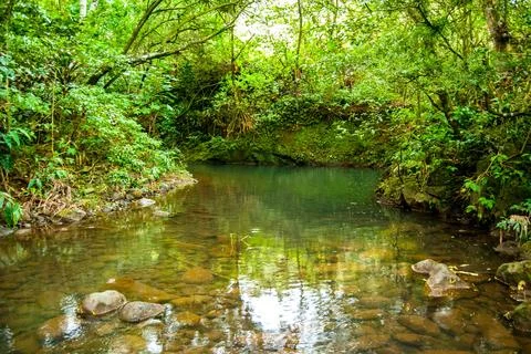 Relaxing Smooth Stream Rolling Through Rainforest on Maui, Hawaii Stock Photos