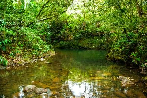 Relaxing Smooth Stream Rolling Through Rainforest on Maui, Hawaii Stock Photos