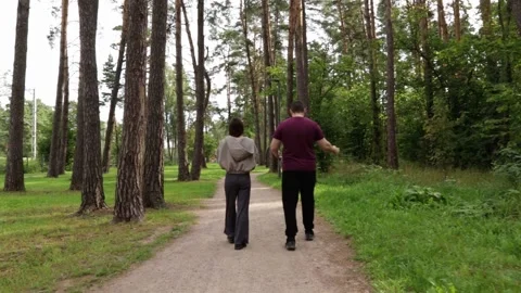Relaxing Stroll Through Forest Park Trail Lined with Towering Pine Trees Stock Footage 306531451