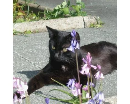 Relaxing in the Sun 스톡 사진