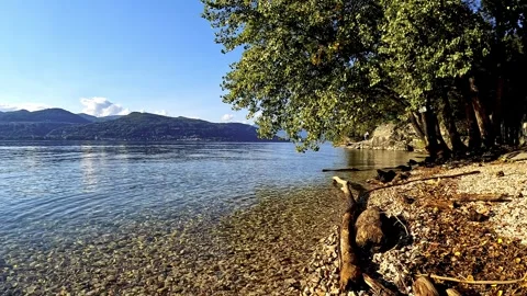 Relaxing Sunbathing by Tranquil Lakeside During Warm Summer Day Stock Footage 328615673