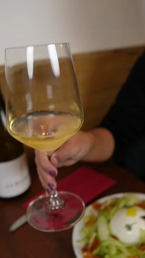 Relaxing Tapas Experience Stock Footage 229424953