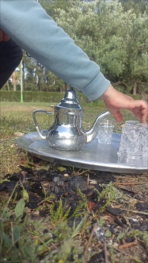 Relaxing Tea Time in the Sunny Garden Stock Footage 334580652