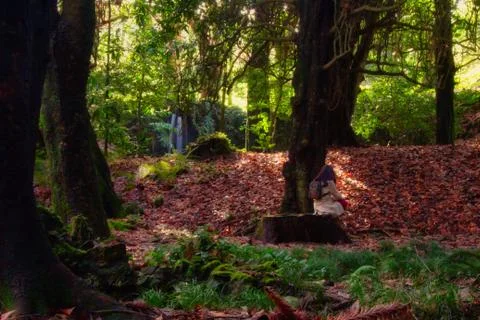 Relaxing time at the forest Stock Photos