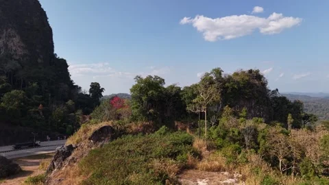 Relaxing Top-Down View of Forest Road Video stock 327508670