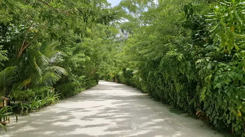 A relaxing tropical resort path surrounded by lush green vegetation. Maldives. Stock Footage 315213159