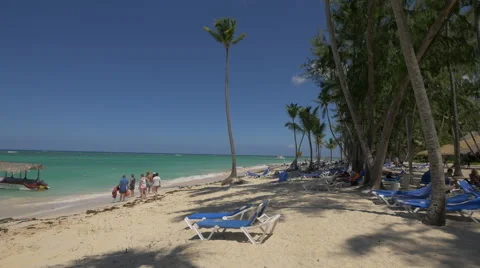Relaxing under the palm trees on the beach, Dominican Republic Stock Footage 50370470