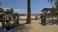 Relaxing under the palm trees in Park Guell, Barcelona 4k or 4k+ Resolution
