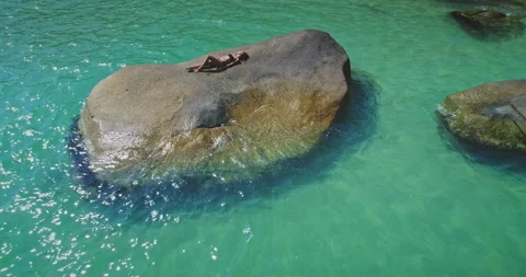 Relaxing under the sun on a large rock in clear turquoise water Stock Footage 309946450