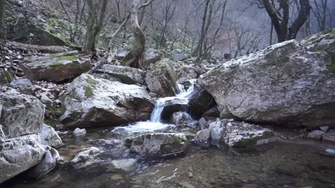 Relaxing valley scenery Stock Footage 307154856