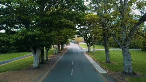 Relaxing video in suburb Stock-Footage 196807530