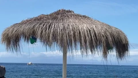 Relaxing view Stock Footage 164072165