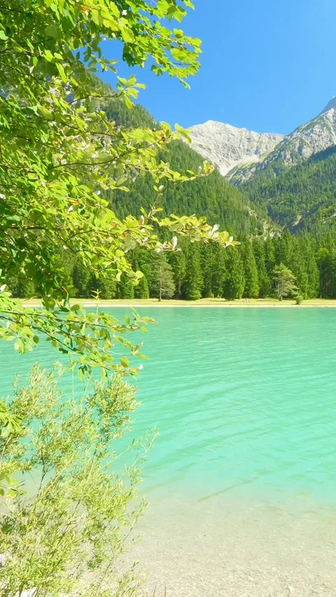 Relaxing view of a tranquil alpine lake with turquoise waters and surrounding Stock Footage 308301626