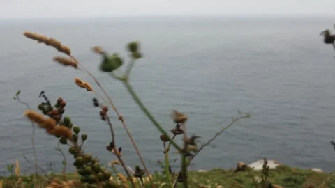 Relaxing view of a windy day in front of the Cantabrian sea Stock Footage 312526297