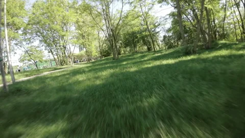 A Relaxing Walk in the Park Stock Footage 276485962