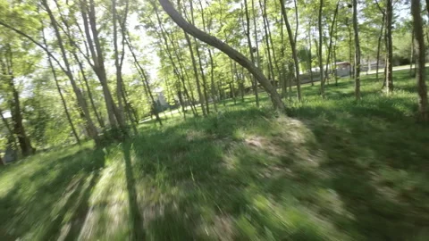 A Relaxing Walk in the Park Stock Footage 276511583