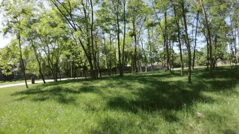 A Relaxing Walk in the Park Stock Footage 276834702