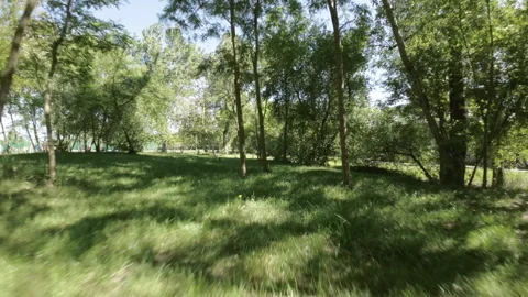 A Relaxing Walk in the Park Stock Footage 277083387
