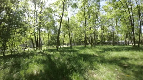 A Relaxing Walk in the Park Stock Footage 277140448