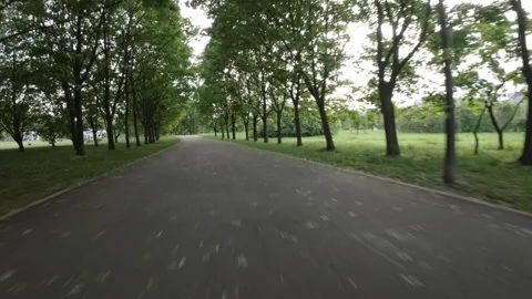 A Relaxing Walk in the Park Stock Footage 277300737