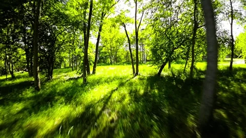 A Relaxing Walk in the Park Stock Footage 278058348