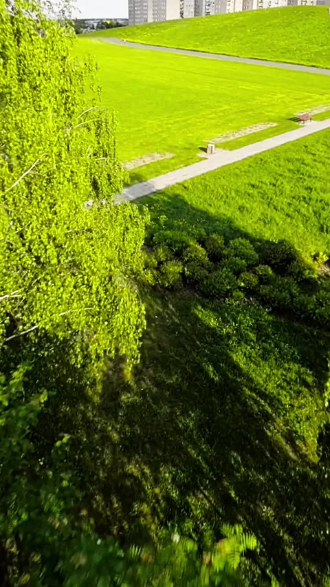 A Relaxing Walk in the Park Stock Footage 278129115