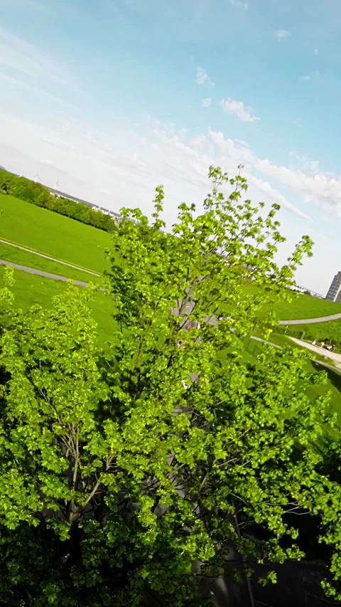 A Relaxing Walk in the Park Stock Footage 278210516