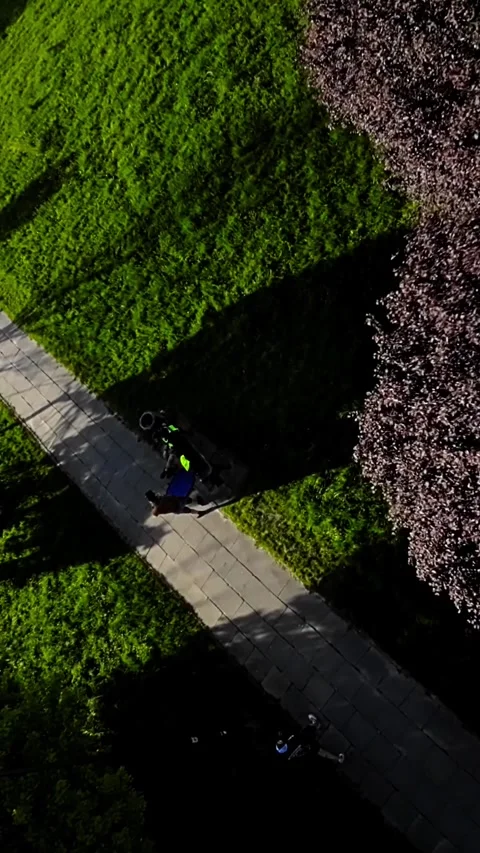 A Relaxing Walk in the Park Stock Footage 278230726