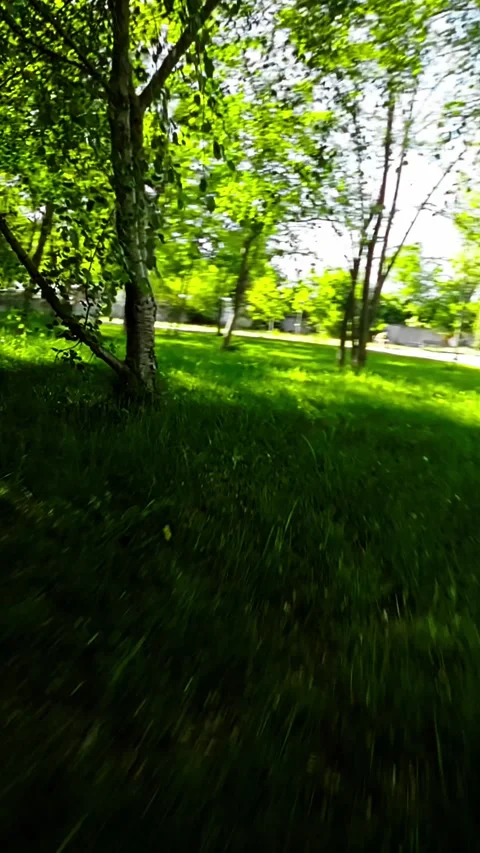 A Relaxing Walk in the Park Stock Footage 278346758