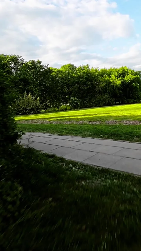 A Relaxing Walk in the Park Video stock 278650194