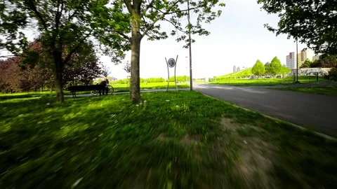 A Relaxing Walk in the Park Stock Footage 278679748