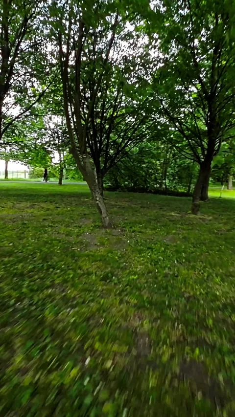 A Relaxing Walk in the Park Stock Footage 278691853