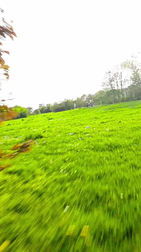 A Relaxing Walk in the Park Stock Footage 278734952