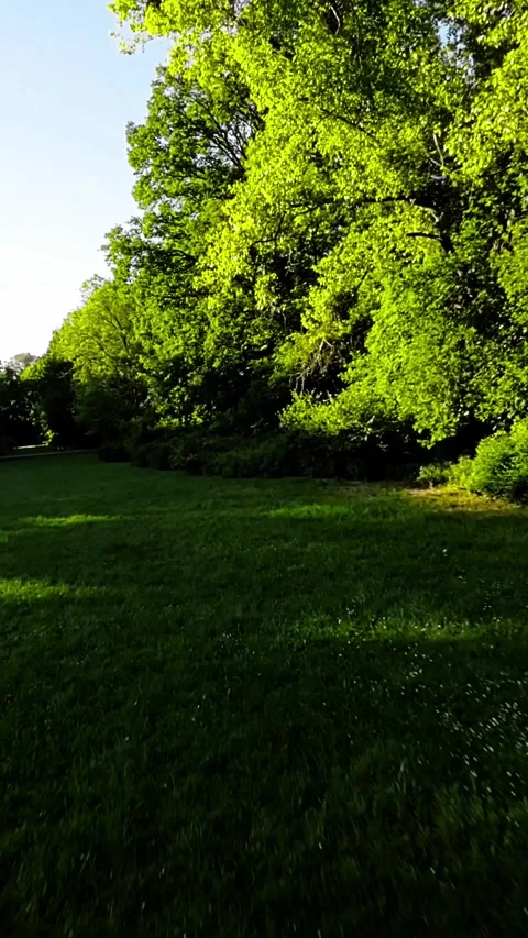 A Relaxing Walk in the Park Stock Footage 278800422