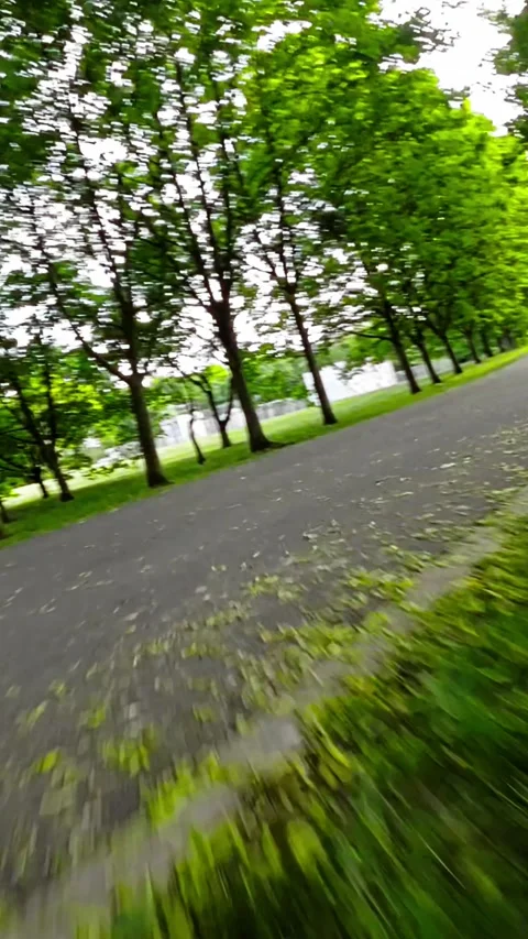 A Relaxing Walk in the Park Stock Footage 278961346