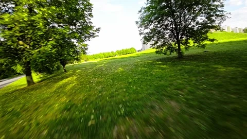 A Relaxing Walk in the Park Video stock 280220424