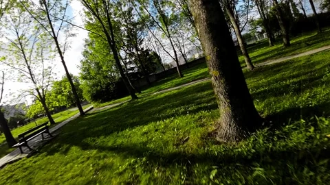 A Relaxing Walk in the Park Stock Footage 281181972