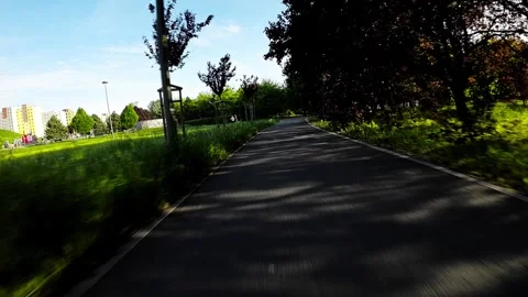 A Relaxing Walk in the Park Stock Footage 281563491