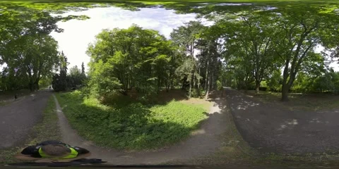 A Relaxing Walk in the Park Stock Footage 282802540