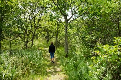 Relaxing walk Stock Photos