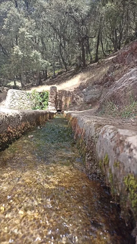Relaxing Water Sound Source in Mountain Stream Stock Footage 337854092
