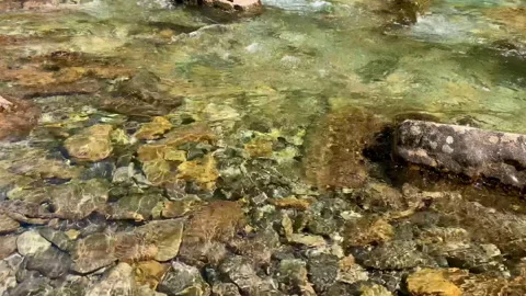 Relaxing water stream Video stock 222019558