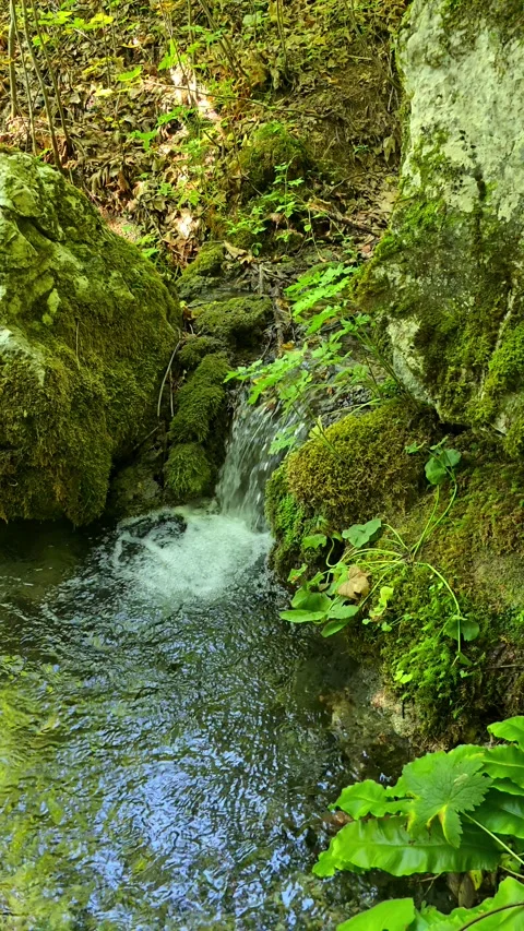 Relaxing water stream Stock Footage 317037576