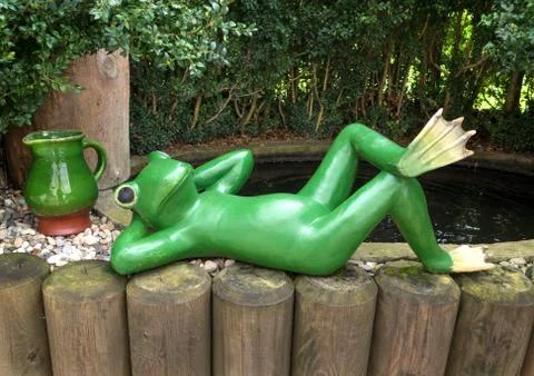 Relaxted green frog Stock Photos