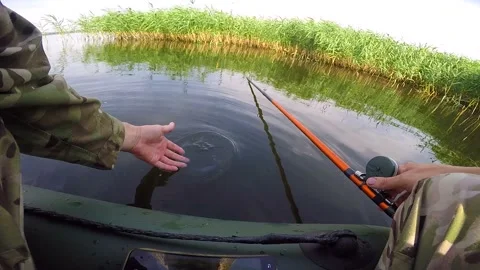 Release of crucian into the river Stock Footage 95832994