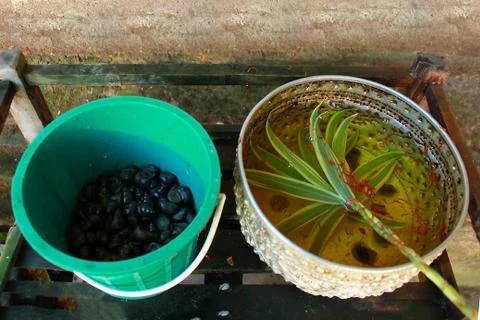 Release for merit Stock Photos