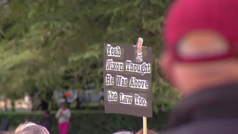 Release the mueller report, Protest sign Vidéo 155134981