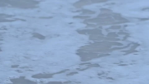 Release of Olive Ridley sea turtle hatchlings Stock Footage 327514568