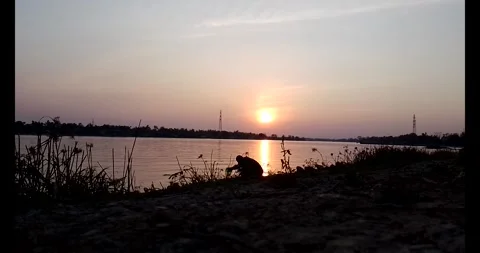 Release snails into the river Stock Footage 297725615
